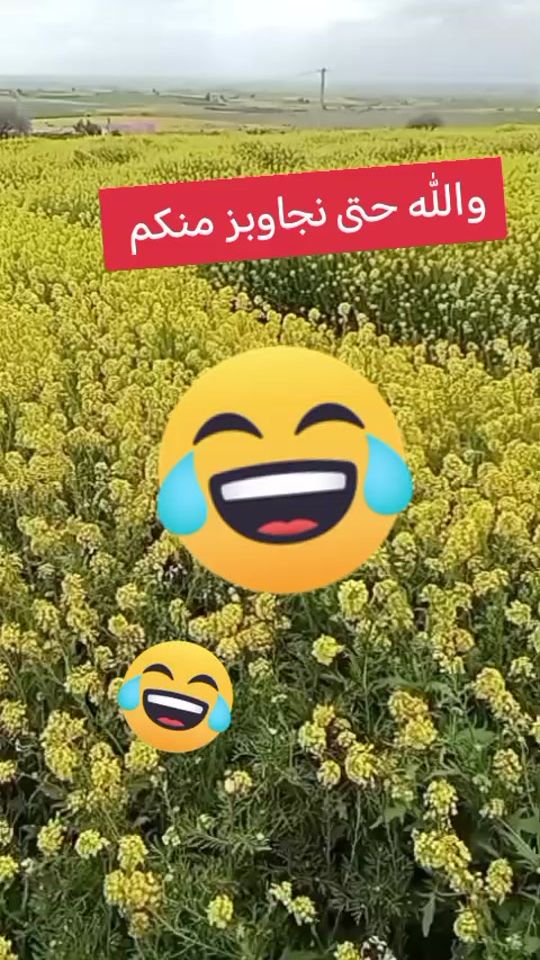TikTok video thumbnail by rayansamira87
