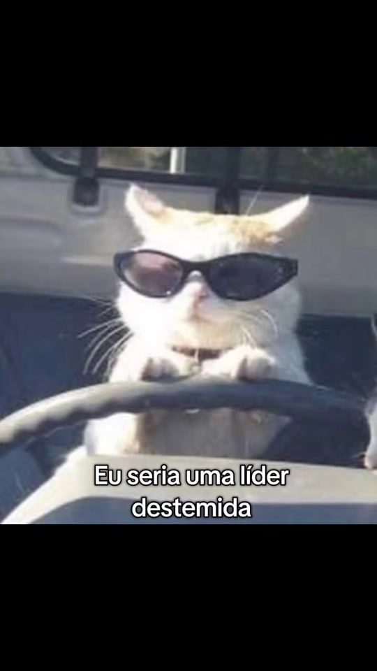 TikTok video thumbnail by gatitamusica