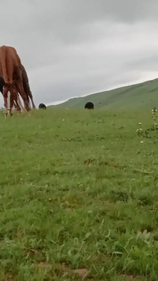 TikTok video thumbnail by user4519706503675