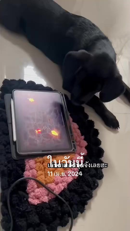 TikTok video thumbnail by kookkai_31