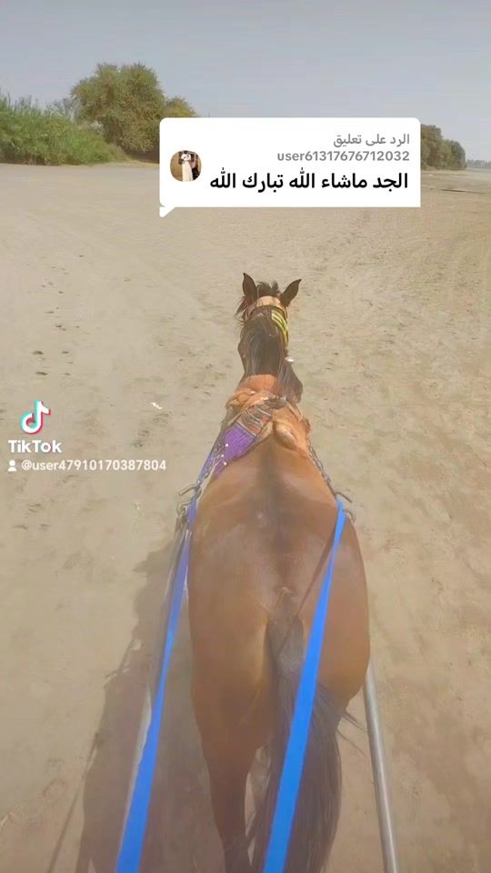 TikTok video thumbnail by user47910170387804
