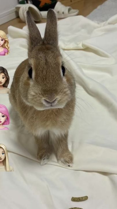 TikTok video thumbnail by alinko98