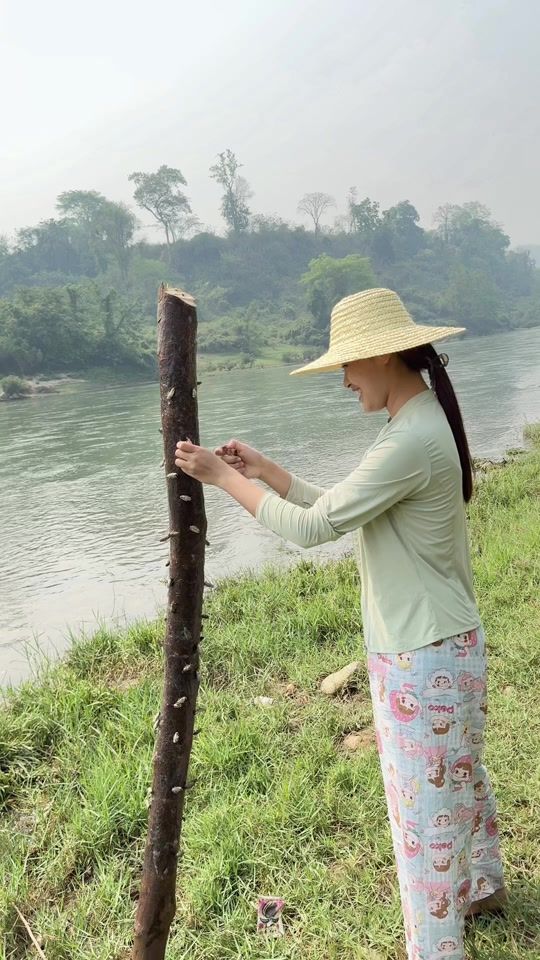 TikTok video thumbnail by noungyoumt834