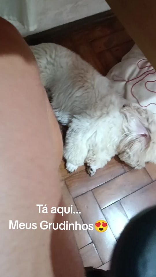 TikTok video thumbnail by nilcea_cruz