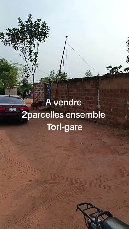 TikTok video thumbnail by bossriche9