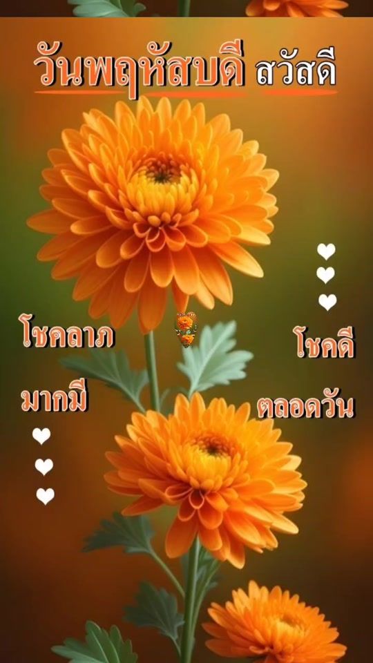 TikTok video thumbnail by naree5066