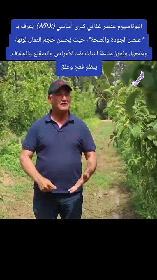 TikTok video thumbnail by bado.hammami