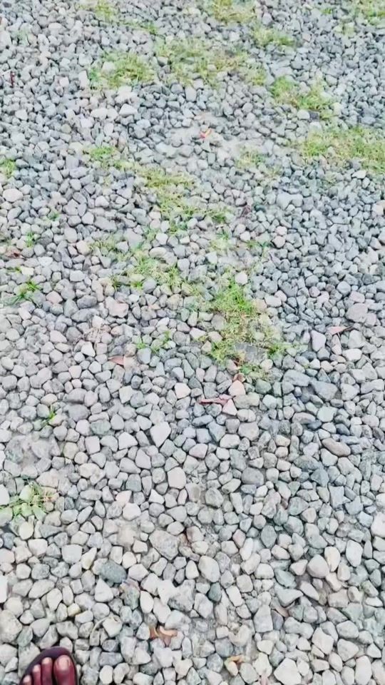 TikTok video thumbnail by sasindutours