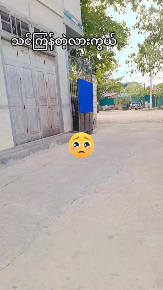 TikTok video thumbnail by orchidlay27278