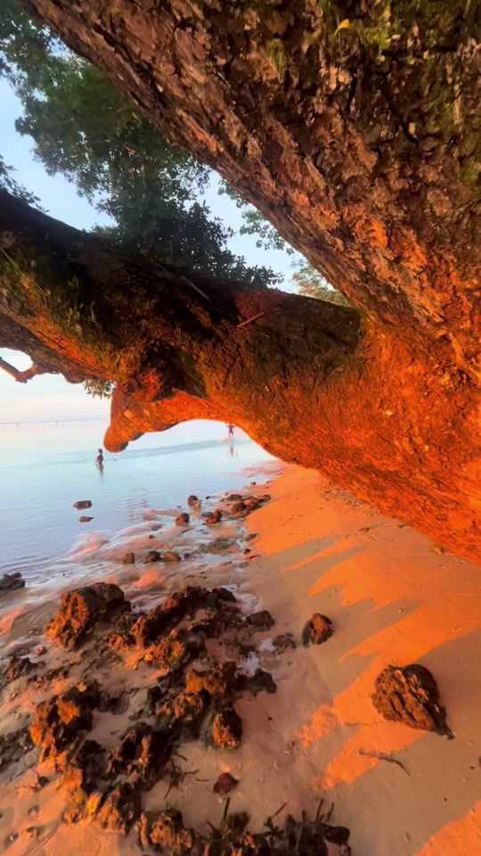 TikTok video thumbnail by allux30