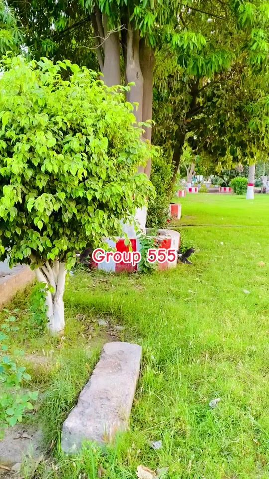 TikTok video thumbnail by ubaidbalouch555