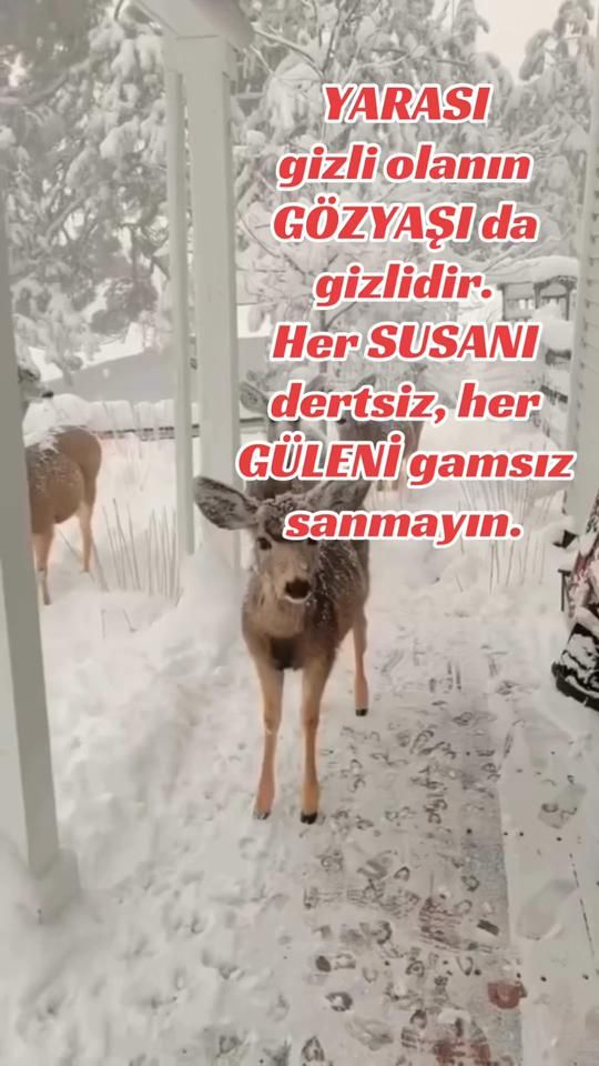 TikTok video thumbnail by arslanarslan00001