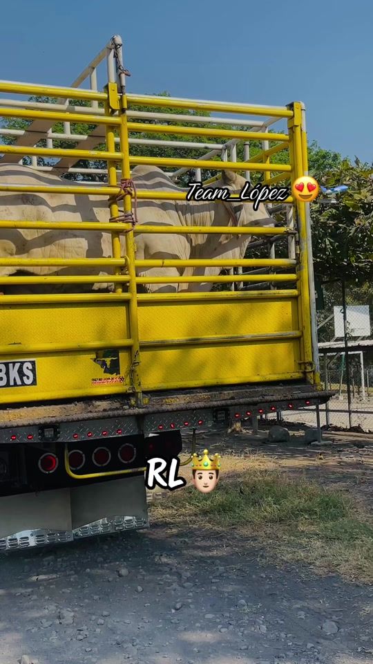 TikTok video thumbnail by _priv_gt