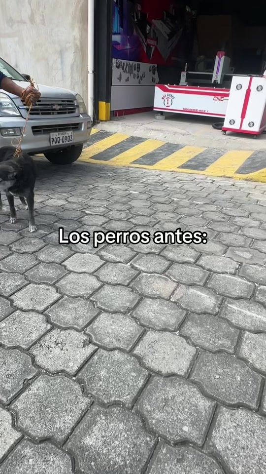 TikTok video thumbnail by _eloficial06