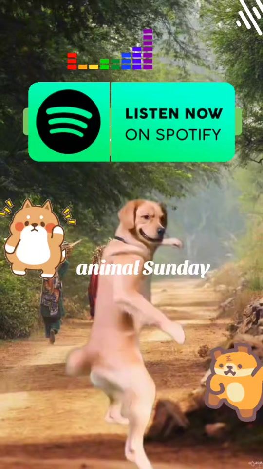 TikTok video thumbnail by user512018232