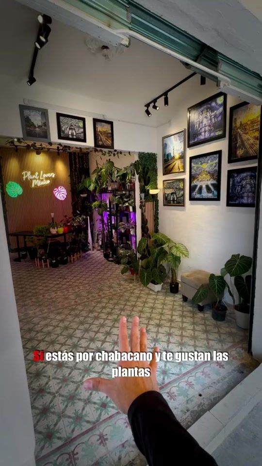 TikTok video thumbnail by cizzabernal