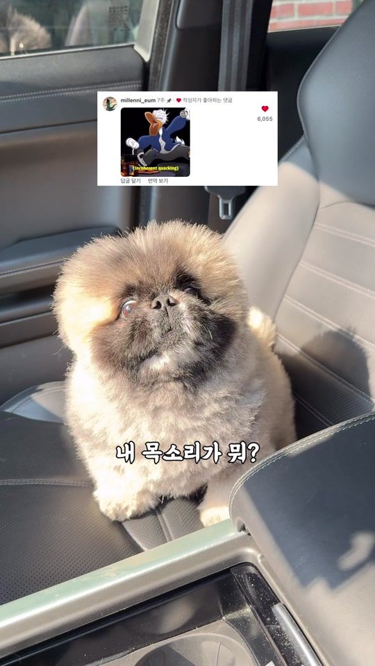 TikTok video thumbnail by sae_keomong