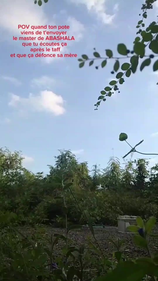 TikTok video thumbnail by kydamhlu