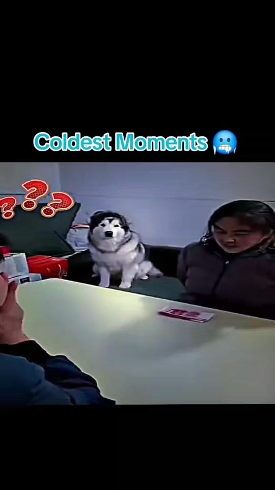 TikTok video thumbnail by user4391023874557