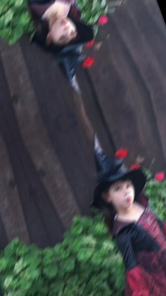 TikTok video thumbnail by marisolmadrigal35