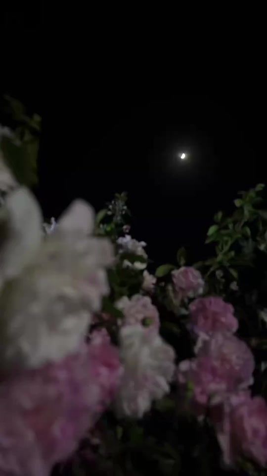 TikTok video thumbnail by yosk0o_19