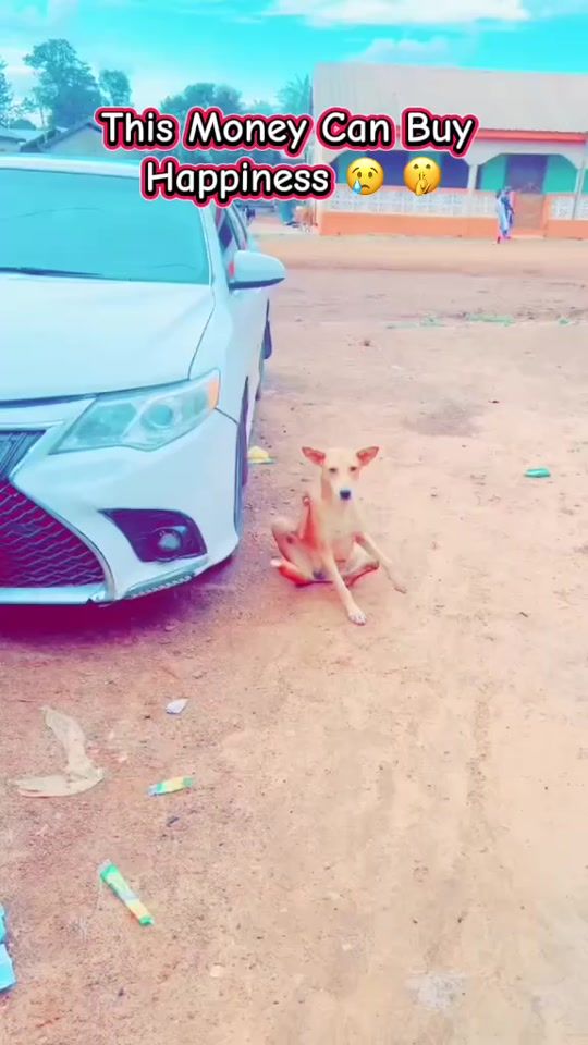 TikTok video thumbnail by sankaraprince7