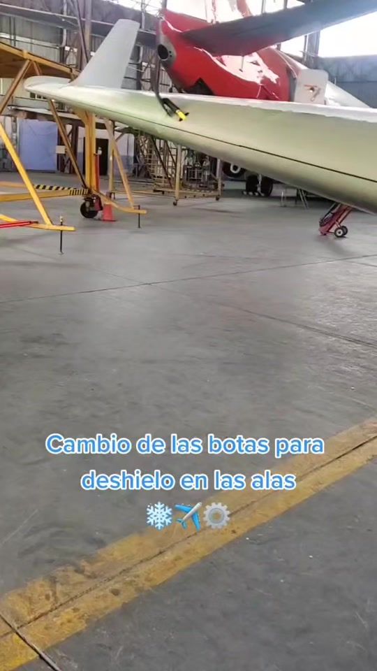 TikTok video thumbnail by aviadores_4ever