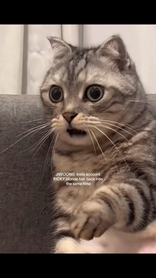 TikTok video thumbnail by _minamz_