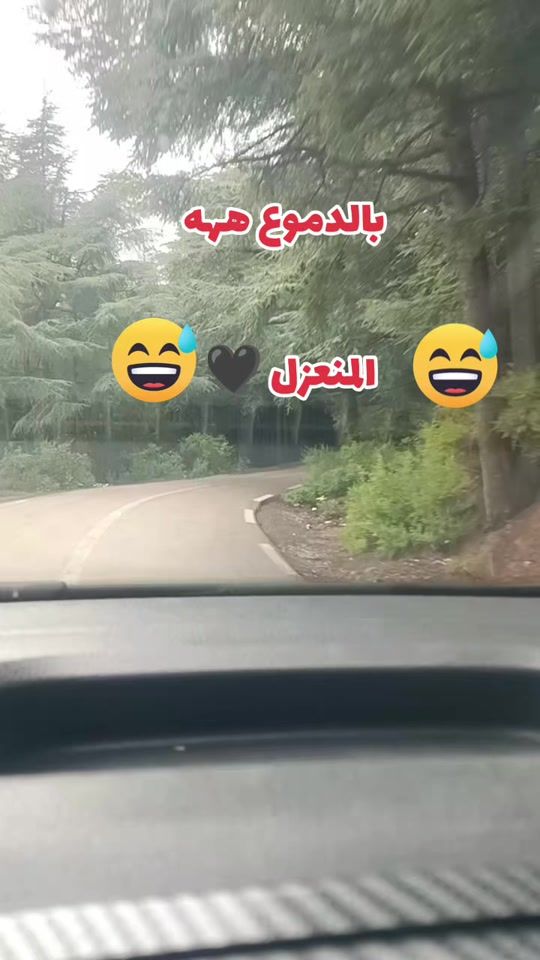 TikTok video thumbnail by a.l.g.e.r.e.i.n0