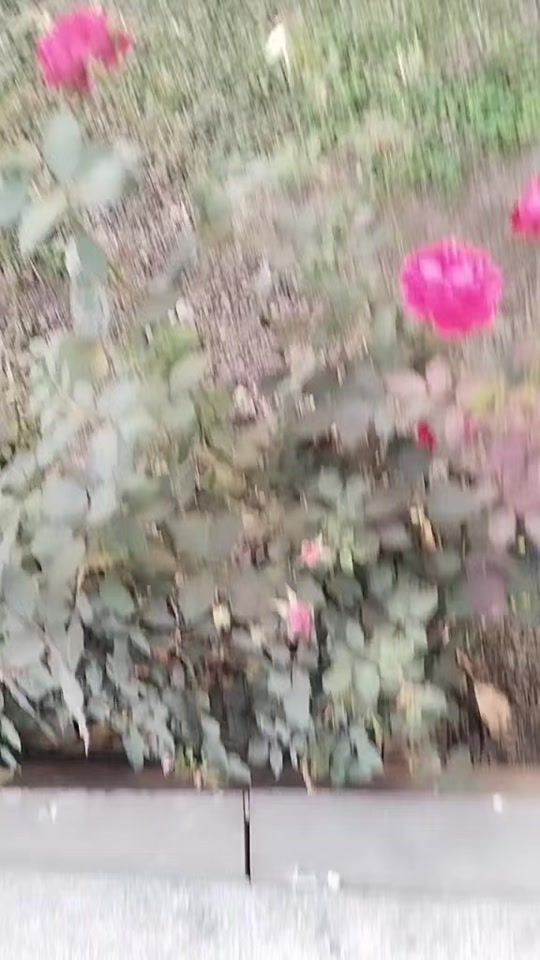 TikTok video thumbnail by sunam__sahani