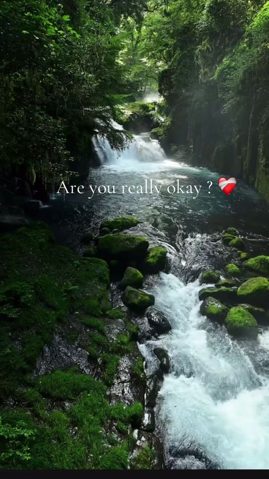 TikTok video thumbnail by clapandtap_