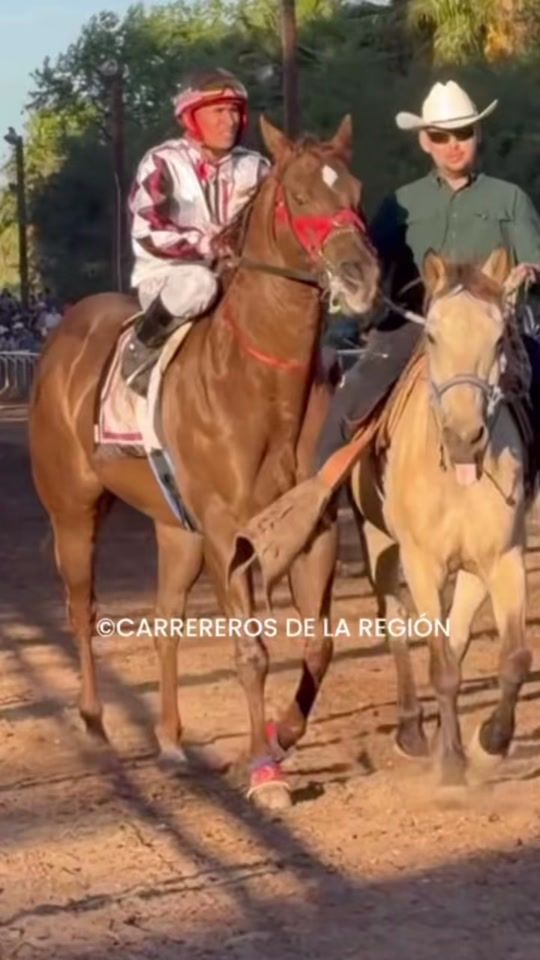 TikTok video thumbnail by jrhorseracing404