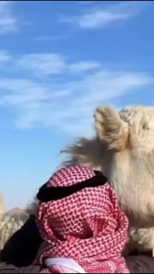 TikTok video thumbnail by mahamd_eisa