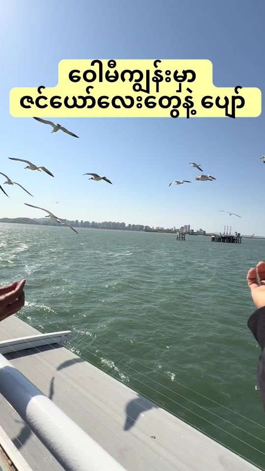 TikTok video thumbnail by sithuaung.tc