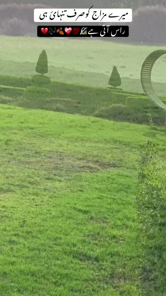 TikTok video thumbnail by waseemmaher__856