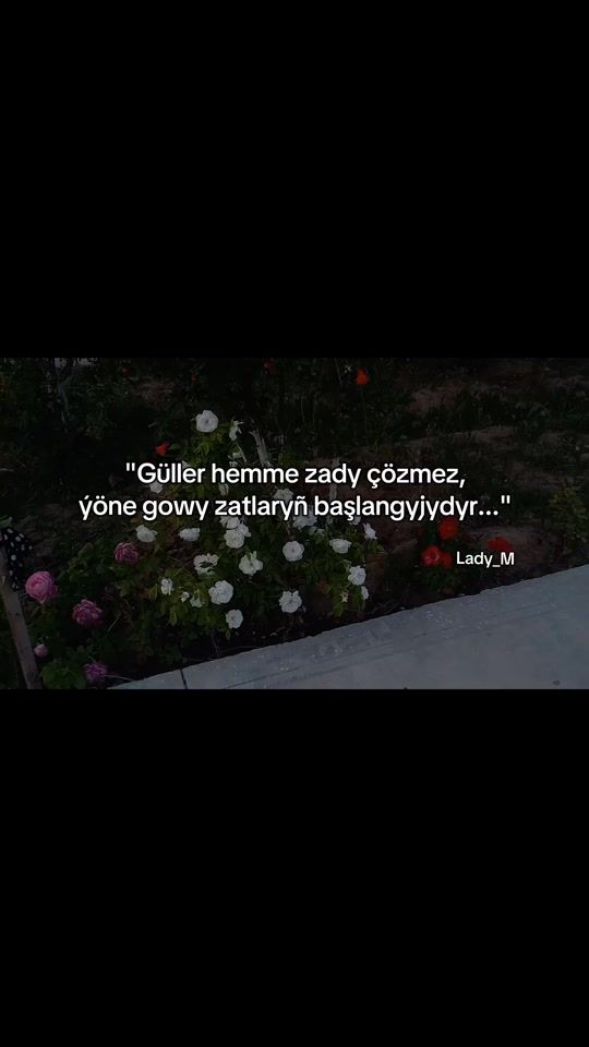 TikTok video thumbnail by .lady_m