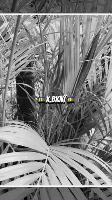 TikTok video thumbnail by bjah.nayk