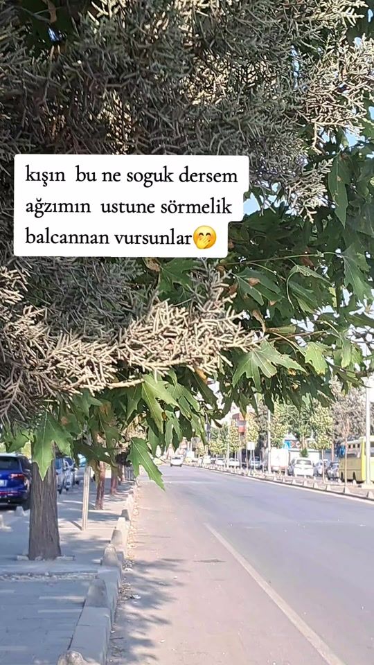 TikTok video thumbnail by antep27791
