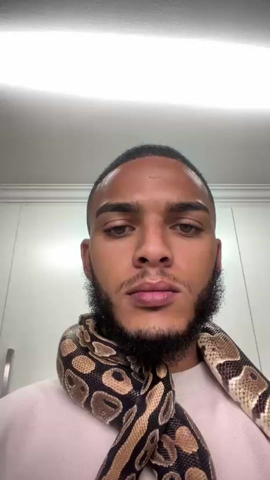 TikTok video thumbnail by meneer_katz