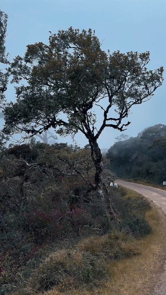 TikTok video thumbnail by lee_j_lee