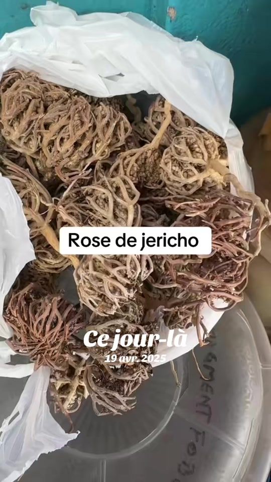 TikTok video thumbnail by docteurepices