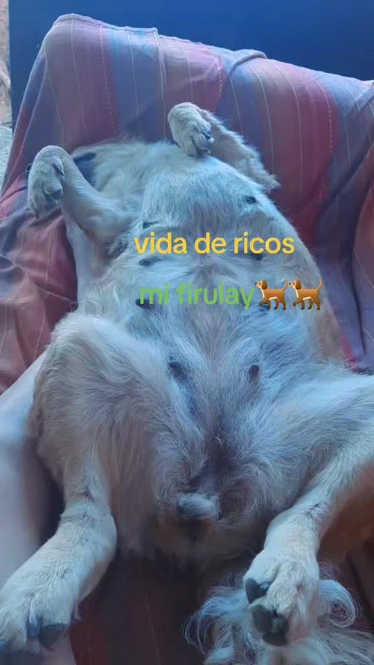 TikTok video thumbnail by brittny86