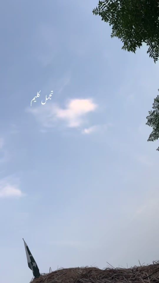 TikTok video thumbnail by dark._.imagine