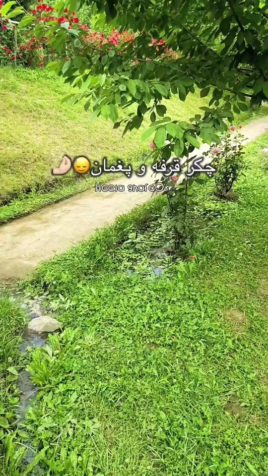 TikTok video thumbnail by gh4foori_
