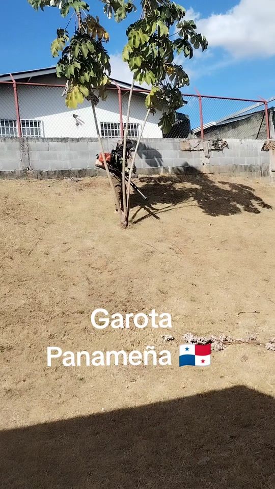 TikTok video thumbnail by thegrassbarber
