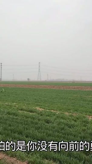 TikTok video thumbnail by afeilaowang
