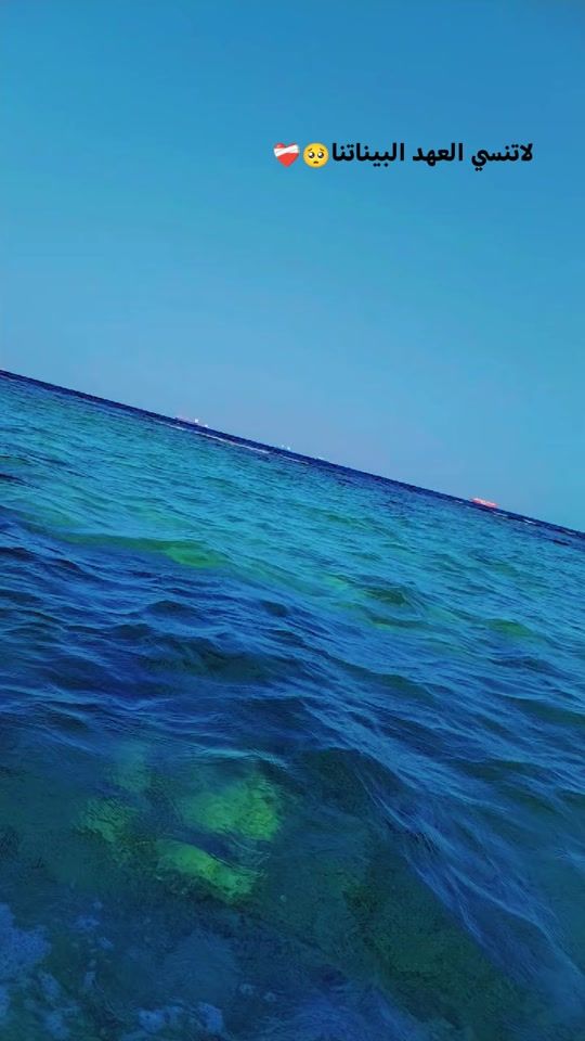 TikTok video thumbnail by dodi11304
