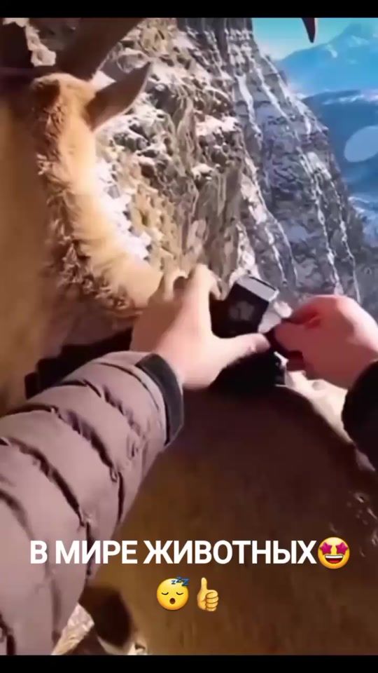 TikTok video thumbnail by lyudmila.hayrapetyan8