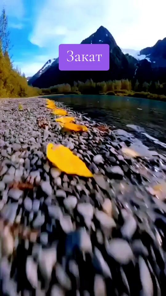 TikTok video thumbnail by zakat073