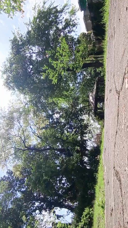 TikTok video thumbnail by um_e_aiman0